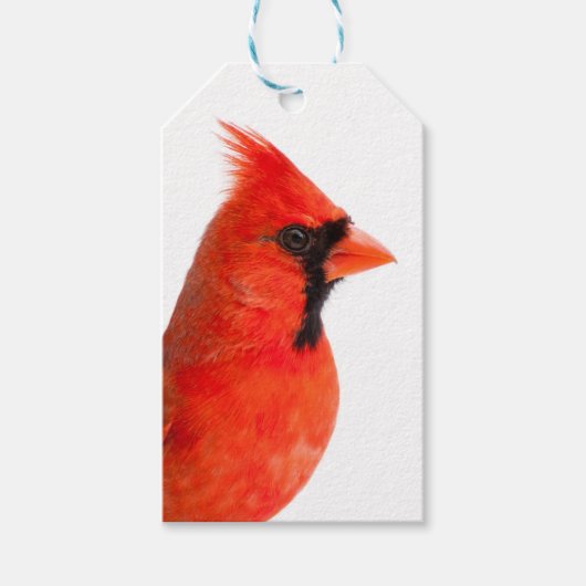 Cardinal Geschenkanhänger (Vorderseite)