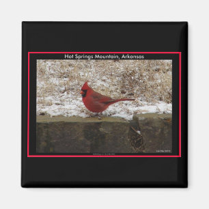 Cardinal Hot Springs Nat. Park Mountain AR Geschen Magnet
