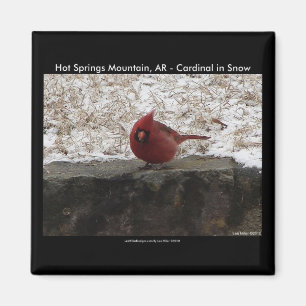 Cardinal Hot Springs Nat. Park Mt AR Geschenke Bek Magnet