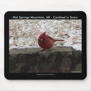 Cardinal Hot Springs Nat. Park Mt AR Geschenke Bek Mousepad