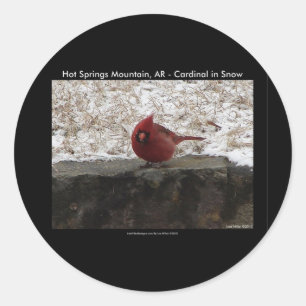 Cardinal Hot Springs Nat. Park Mt AR Geschenke Bek Runder Aufkleber