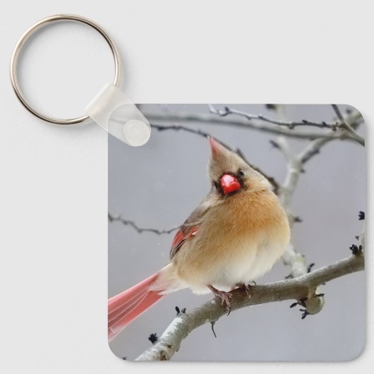 Cardinal_keychain Schlüsselanhänger (Vorderseite)