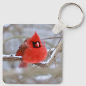 Cardinal_keychain Schlüsselanhänger (Rückseite)