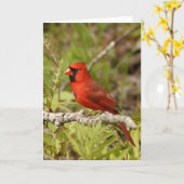 Cardinal Note Card Karte (Gelbe Blume)