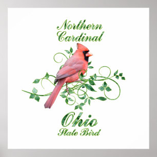 Cardinal Ohio State Bird Poster