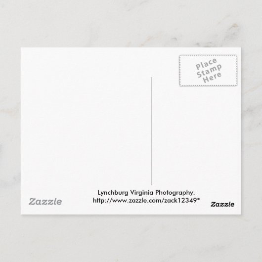 Cardinal Pair Old Lynchburg City Cemetery Postkarte (Rückseite)