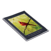 Cardinal Songbird Notebook | Nature Art Journal Notizblock (Rechte Seite)