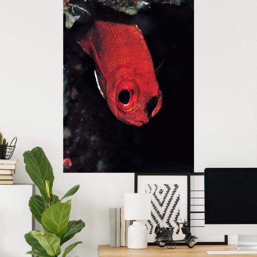 Cardinalfish Portrait Poster (Heimbüro)