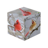 Cardinals_Photo_Cube Würfel (Rückseite Schrägansicht)