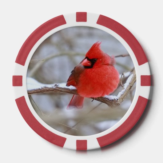  Cardinals_Poker_Chips  Pokerchips (Vorderseite)