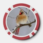  Cardinals_Poker_Chips  Pokerchips (Rückseite)