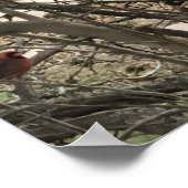 Cardinals Poster (Ecke)