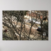 Cardinals Poster (Vorne)