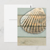 Cardita Muschel Postkarte (Vorne/Hinten)
