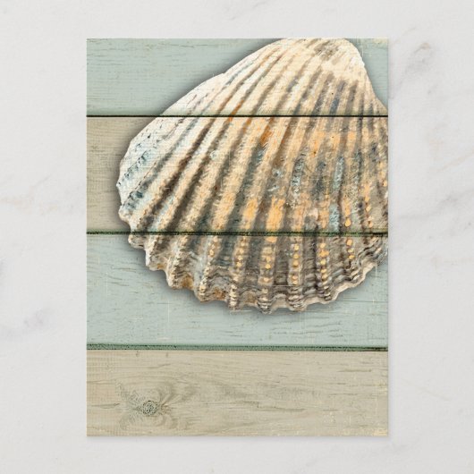 Cardita Muschel Postkarte (Vorderseite)