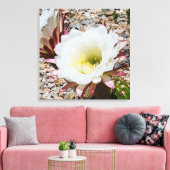 Cardon Grande Cactus Foto Leinwanddruck (Insitu (Wohnzimmer))