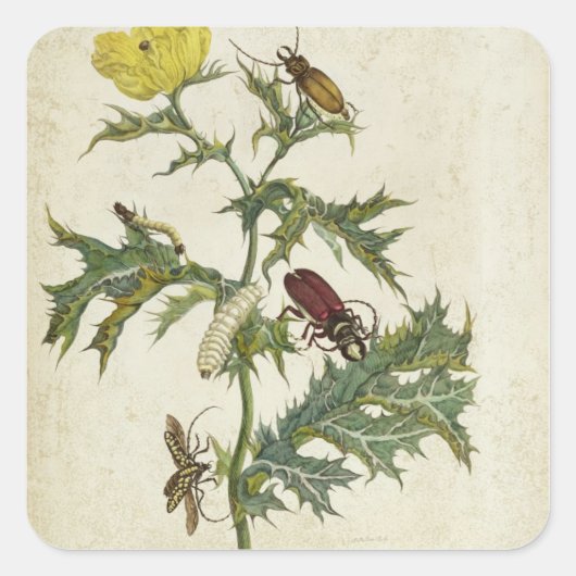 Cardos Spinosus: Beetles and Caterpillars, Plattfo Quadratischer Aufkleber (Vorderseite)