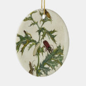 Cardos Spinosus: Käfer und Raupen, Platte 6 Keramikornament (Rechts)