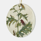 Cardos Spinosus: Käfer und Raupen, Platte 6 Keramikornament (Links)