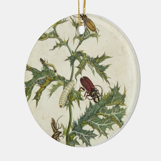 Cardos Spinosus: Käfer und Raupen, Platte 6 Keramikornament (Links)