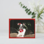 cards: valentine boo feiertagspostkarte (Stehend Vorderseite)