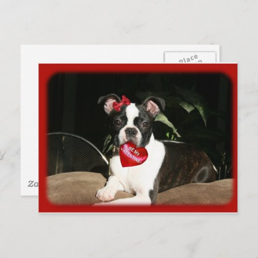 cards: valentine boo feiertagspostkarte (Vorne/Hinten)