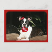 cards: valentine boo feiertagspostkarte (Vorderseite)