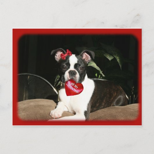 cards: valentine boo feiertagspostkarte (Vorderseite)