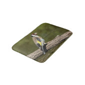 Carduelis carduelis badematte (Schrägansicht)