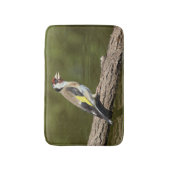 Carduelis carduelis badematte (Vorderseite Vertikal)
