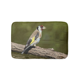 Carduelis carduelis badematte