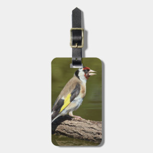 Carduelis carduelis gepäckanhänger