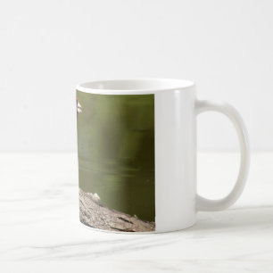 Carduelis carduelis kaffeetasse