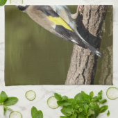 Carduelis carduelis küchentuch (Gefaltet)