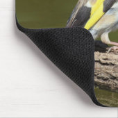 Carduelis carduelis mousepad (Ecke)