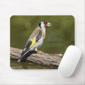 Carduelis carduelis mousepad (Mit Mouse)