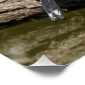 Carduelis carduelis poster (Ecke)