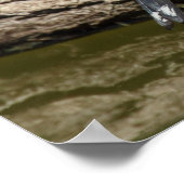 Carduelis carduelis poster (Ecke)