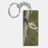 Carduelis carduelis schlüsselanhänger (Vorderseite links)