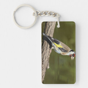 Carduelis carduelis schlüsselanhänger