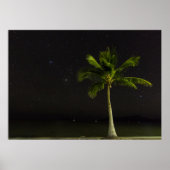 Cardwell Palm Poster (Vorne)