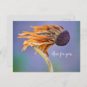 Care Concern Sentiment Here for You Postkarte (Vorne/Hinten)