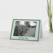 Care- und Concept-Card