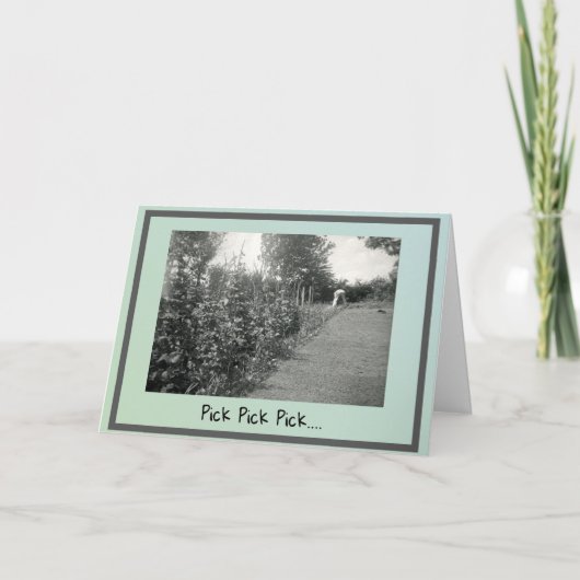 Care- und Concept-Card Karte (Vorderseite)