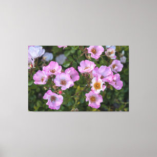 Carefree Delight Leinwanddruck