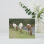 Carefree Ponys Postkarte (Stehend Vorderseite)