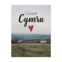 Cariad Cymru Vintag Wales Landschaftsfarm Schafe