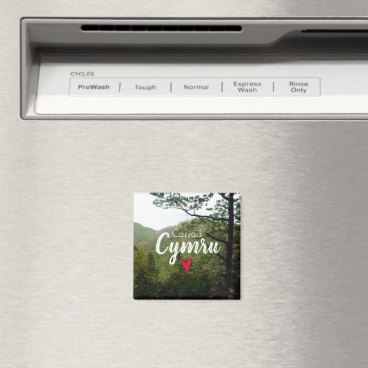 Cariad Cymru Wales Hill Landschaft Devils Bridge Magnet (In Situ (Geschirrspüler))