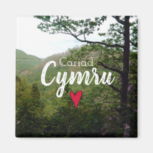 Cariad Cymru Wales Hill Landschaft Magnet