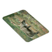 Caribbean Buck Grazing Magnet (Rechte Seite)